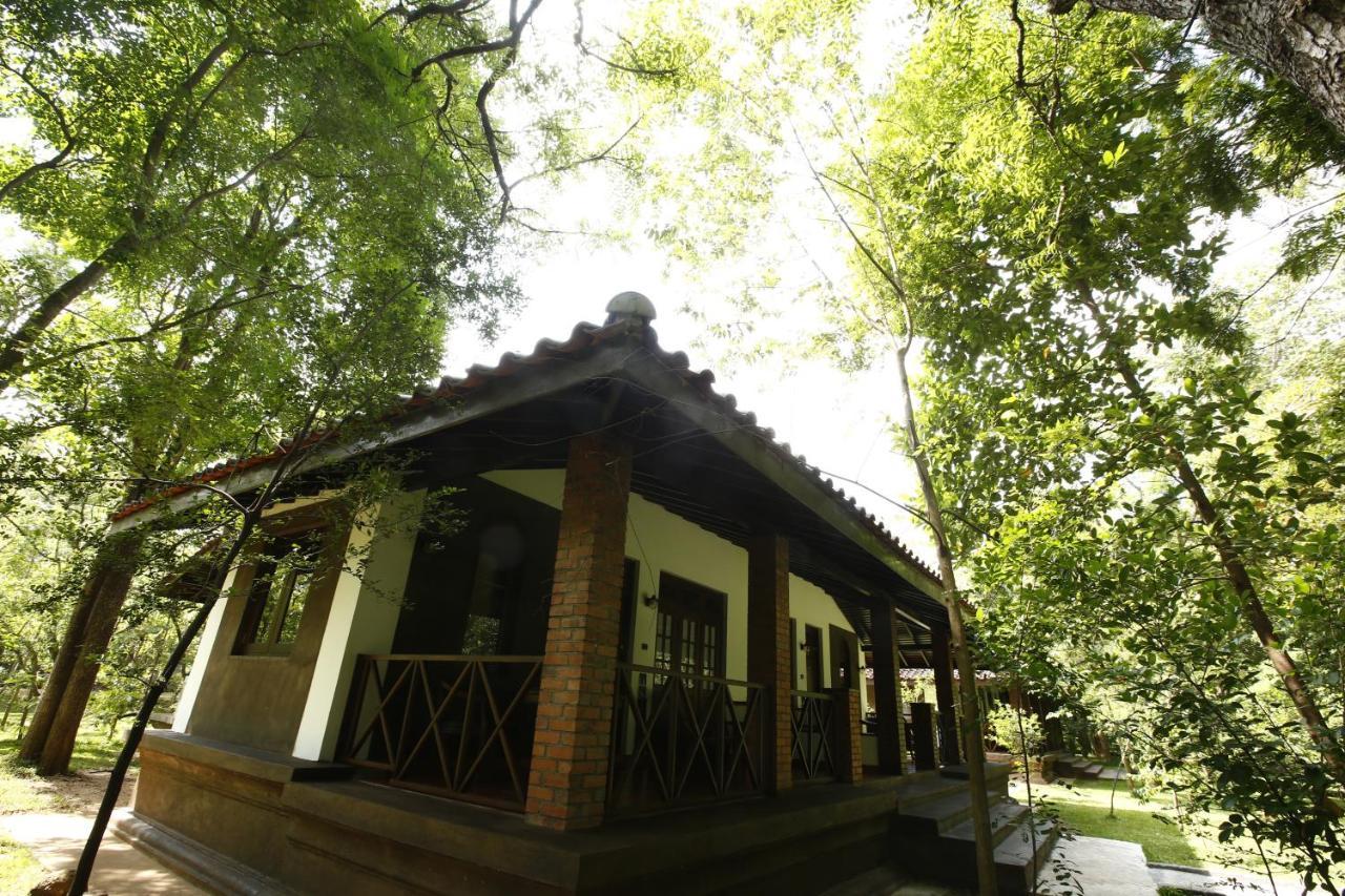 Palm Garden Village Hotel Anuradhápura Exteriér fotografie